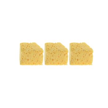 Sponge  