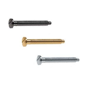 Rimless Frame Screws | 100 Pcs